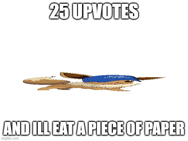 paper | 25 UPVOTES; AND ILL EAT A PIECE OF PAPER | image tagged in paper | made w/ Imgflip meme maker
