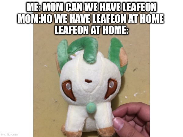 ME: MOM CAN WE HAVE LEAFEON
MOM:NO WE HAVE LEAFEON AT HOME 
LEAFEON AT HOME: | made w/ Imgflip meme maker