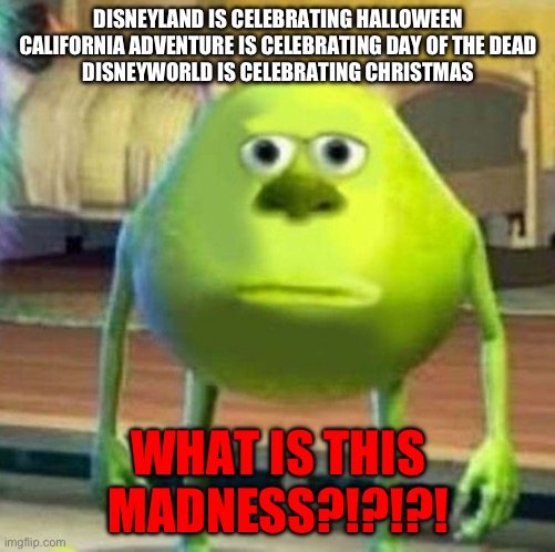 Disney explain yourself | DISNEYLAND IS CELEBRATING HALLOWEEN
CALIFORNIA ADVENTURE IS CELEBRATING DAY OF THE DEAD
DISNEYWORLD IS CELEBRATING CHRISTMAS; WHAT IS THIS MADNESS?!?!?! | image tagged in mike wasowski sully face swap,disney,halloween,day of the dead,christmas | made w/ Imgflip meme maker