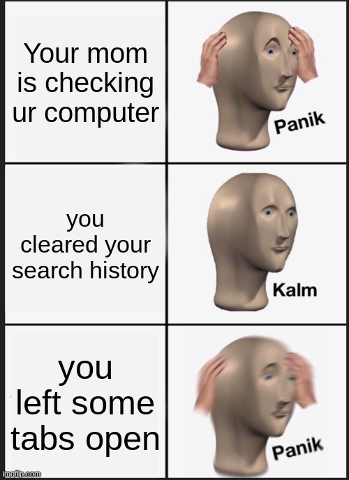 Panik Kalm Panik | Your mom is checking ur computer; you cleared your search history; you left some tabs open | image tagged in memes,panik kalm panik | made w/ Imgflip meme maker