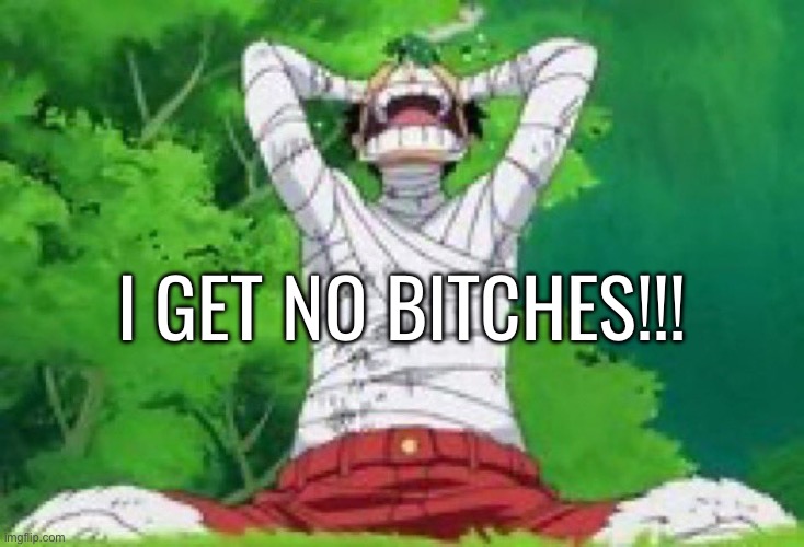 Hillo chat | I GET NO BITCHES!!! | made w/ Imgflip meme maker