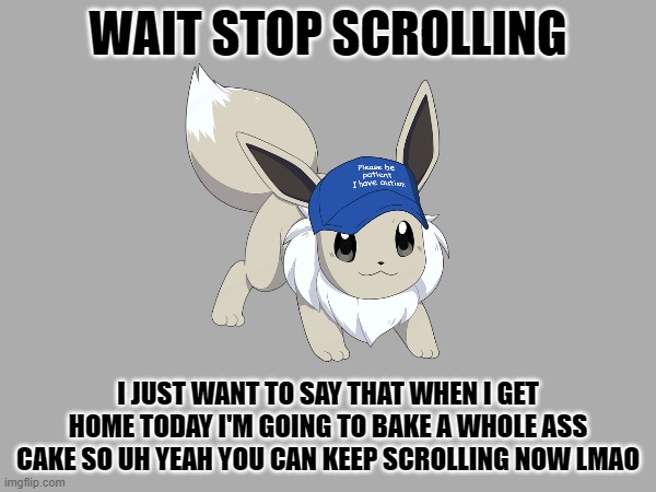 WAIT STOP SCROLLING; I JUST WANT TO SAY THAT WHEN I GET HOME TODAY I'M GOING TO BAKE A WHOLE ASS CAKE SO UH YEAH YOU CAN KEEP SCROLLING NOW LMAO | image tagged in e | made w/ Imgflip meme maker