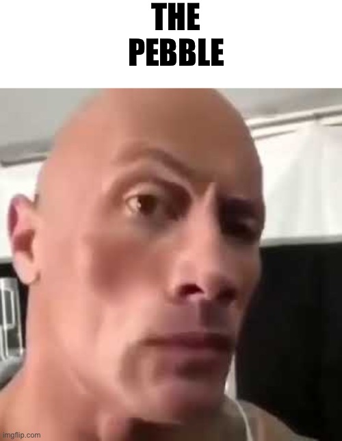 Meme Creator/Viewer - Here we see The Rock with his son, The Pebble Find  more funny memes here