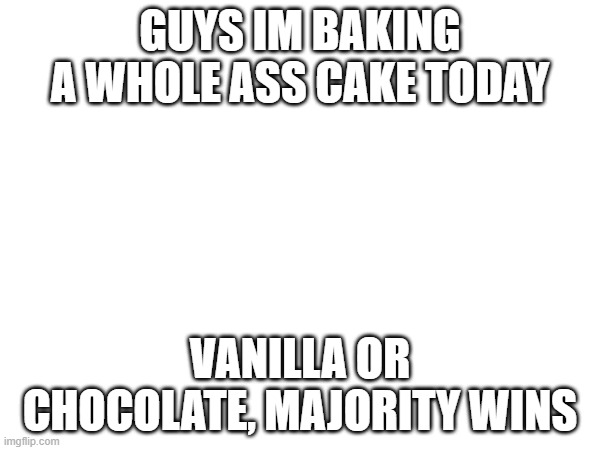 GUYS IM BAKING A WHOLE ASS CAKE TODAY; VANILLA OR CHOCOLATE, MAJORITY WINS | image tagged in e | made w/ Imgflip meme maker