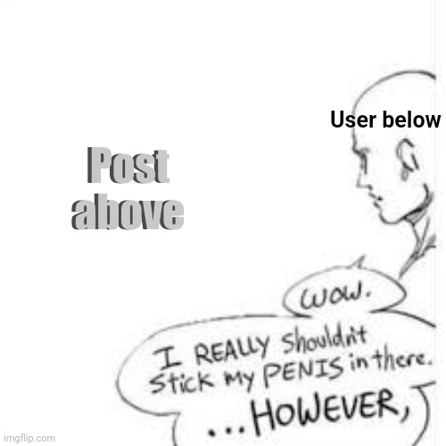 H | Post above; Post above; User below | image tagged in wow i really shouldn't stick my- | made w/ Imgflip meme maker