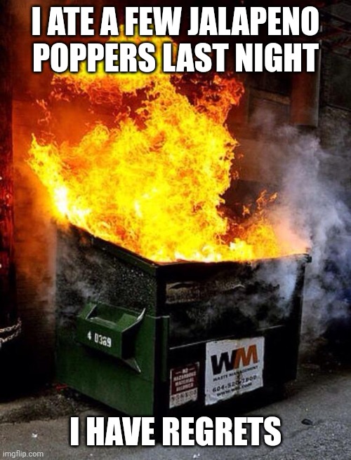 /srs | I ATE A FEW JALAPENO POPPERS LAST NIGHT; I HAVE REGRETS | image tagged in dumpster fire | made w/ Imgflip meme maker