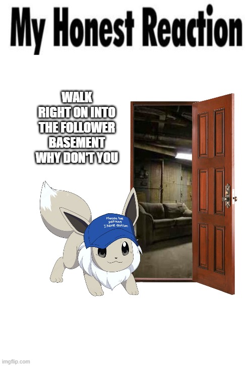 my honest reaction blank | WALK RIGHT ON INTO THE FOLLOWER BASEMENT WHY DON'T YOU | image tagged in my honest reaction blank | made w/ Imgflip meme maker