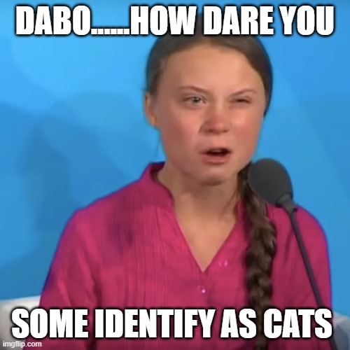 DABO......HOW DARE YOU; SOME IDENTIFY AS CATS | made w/ Imgflip meme maker