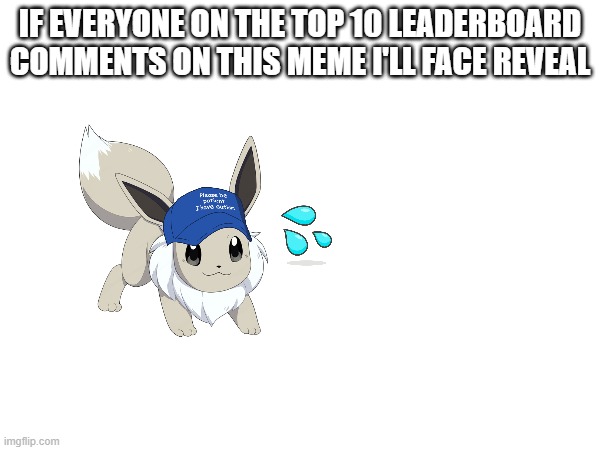 please don't as in honestly i look like shit | IF EVERYONE ON THE TOP 10 LEADERBOARD COMMENTS ON THIS MEME I'LL FACE REVEAL | image tagged in face reveal | made w/ Imgflip meme maker
