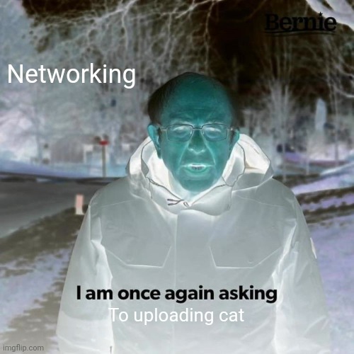 Bernie I Am Once Again Asking For Your Support Meme | Networking To uploading cat | image tagged in memes,bernie i am once again asking for your support | made w/ Imgflip meme maker
