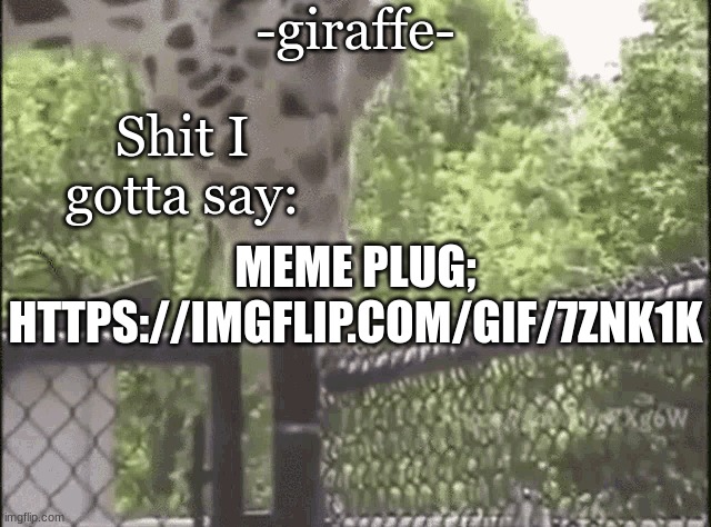 -giraffe- | MEME PLUG; HTTPS://IMGFLIP.COM/GIF/7ZNK1K | image tagged in -giraffe- | made w/ Imgflip meme maker