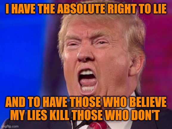 Loyalty, wealth, and hard work are the only virtues in the gutter. | I HAVE THE ABSOLUTE RIGHT TO LIE; AND TO HAVE THOSE WHO BELIEVE MY LIES KILL THOSE WHO DON'T | image tagged in trump lies,maga kills,absolute right | made w/ Imgflip meme maker