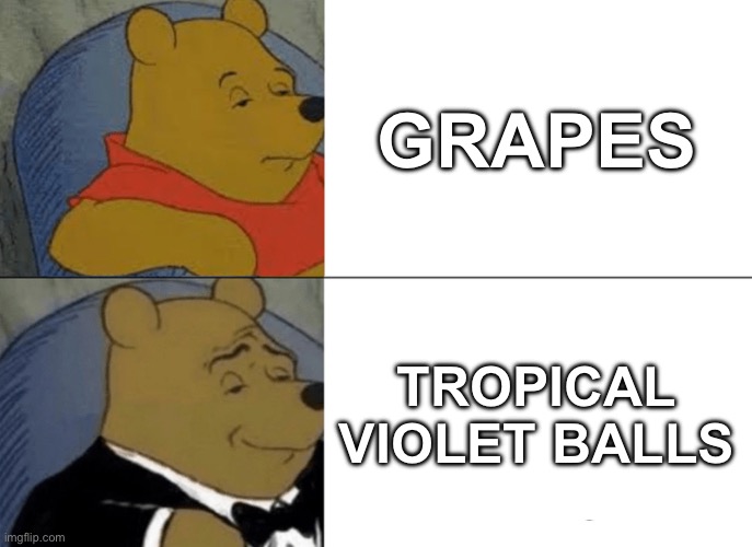 Fancy? | GRAPES; TROPICAL VIOLET BALLS | image tagged in memes,tuxedo winnie the pooh | made w/ Imgflip meme maker