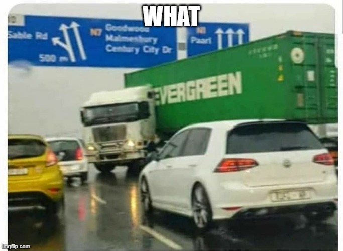 look back | WHAT | image tagged in look back | made w/ Imgflip meme maker