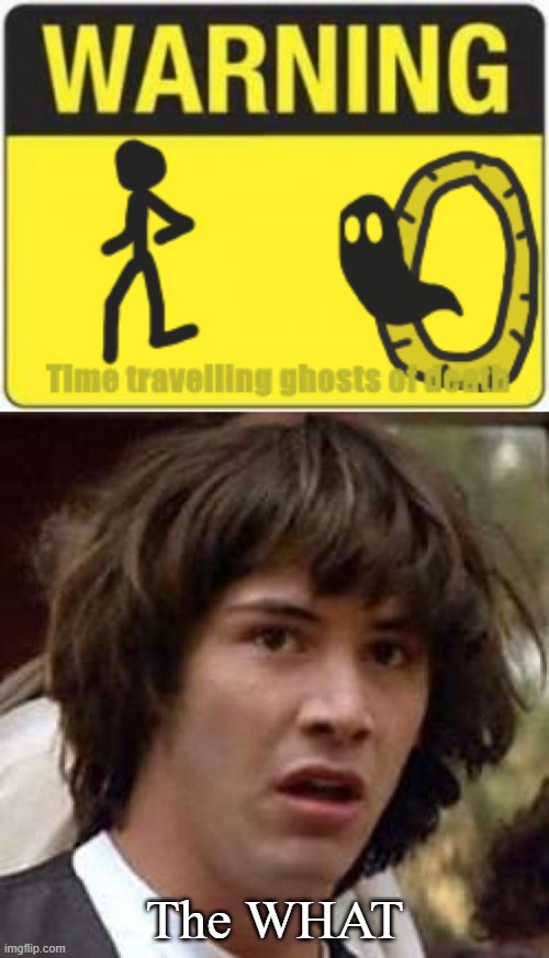 The WHAT | The WHAT | image tagged in memes,conspiracy keanu,what,ghost,relatable memes | made w/ Imgflip meme maker