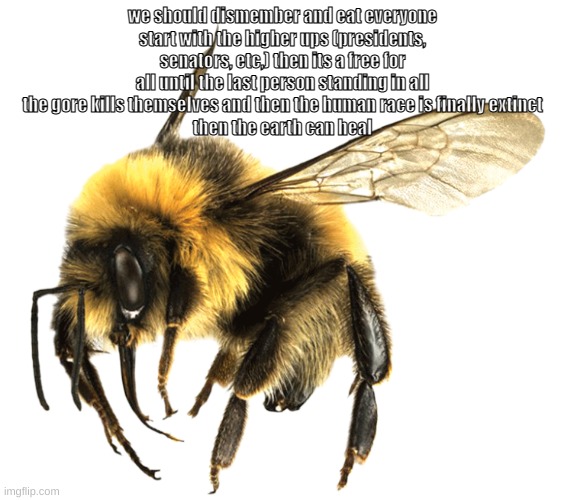 bumblebee | we should dismember and eat everyone
start with the higher ups (presidents, senators, etc,) then its a free for all until the last person standing in all the gore kills themselves and then the human race is finally extinct
then the earth can heal | image tagged in bumblebee | made w/ Imgflip meme maker