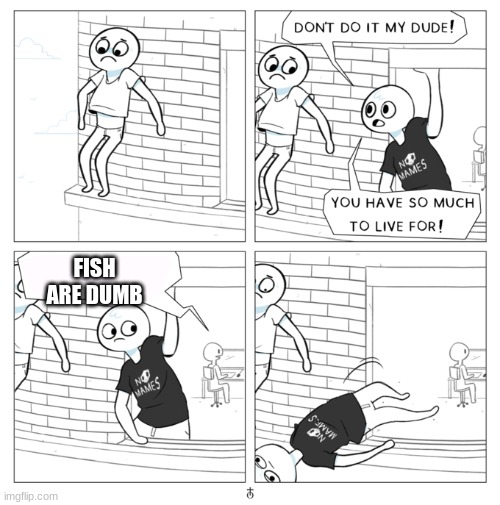 You have so much to live for! | FISH ARE DUMB | image tagged in you have so much to live for | made w/ Imgflip meme maker