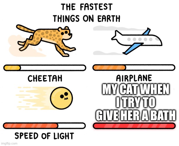 Fastest thing on earth | MY CAT WHEN I TRY TO GIVE HER A BATH | image tagged in fastest thing on earth | made w/ Imgflip meme maker