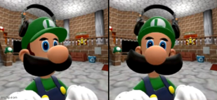 luigi turns his head and stares at you | image tagged in luigi turns his head and stares at you | made w/ Imgflip meme maker