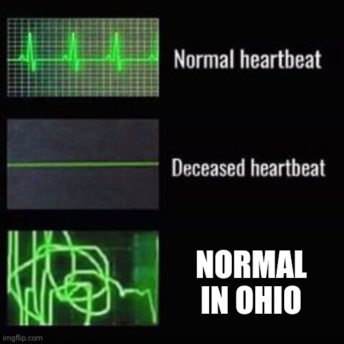 heartbeat rate | NORMAL IN OHIO | image tagged in heartbeat rate | made w/ Imgflip meme maker
