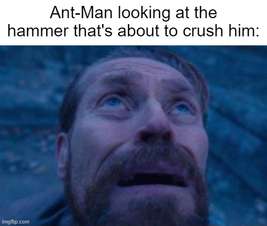 Willem Dafoe looking up | Ant-Man looking at the hammer that's about to crush him: | image tagged in willem dafoe looking up | made w/ Imgflip meme maker