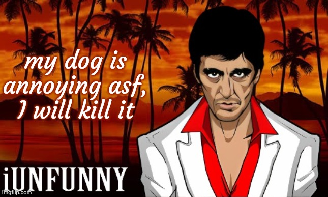 iUnFunny's Scarface template | my dog is annoying asf, I will kill it | image tagged in iunfunny's scarface template | made w/ Imgflip meme maker