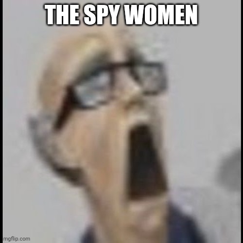 screm | THE SPY WOMEN | image tagged in screm | made w/ Imgflip meme maker
