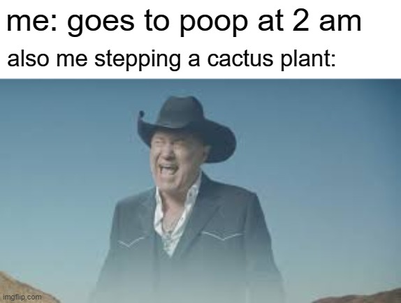 help | me: goes to poop at 2 am; also me stepping a cactus plant: | image tagged in aaaaaaaaaaaaaaaaaaaaaaaaaaa,memes,funny | made w/ Imgflip meme maker