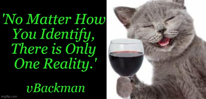 The Simple Truth | 'No Matter How 

You Identify, 

There is Only 

One Reality.'; vBackman | image tagged in politics,the truth,identity,reality,think about it,cheers | made w/ Imgflip meme maker