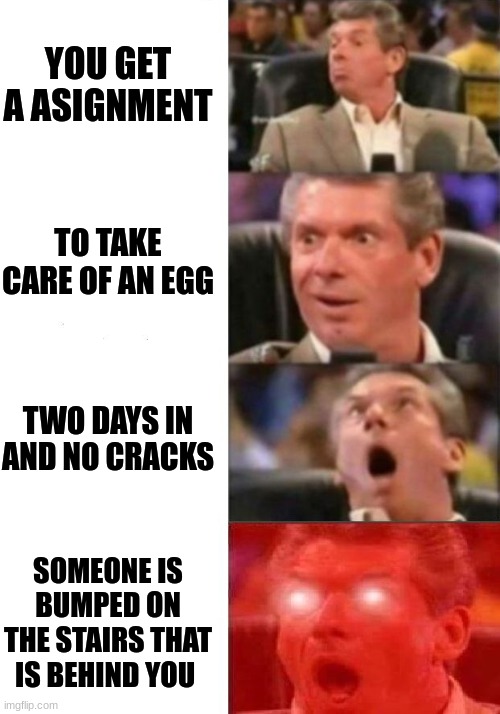 Egg | YOU GET A ASIGNMENT; TO TAKE CARE OF AN EGG; TWO DAYS IN AND NO CRACKS; SOMEONE IS BUMPED ON THE STAIRS THAT IS BEHIND YOU | image tagged in mr mcmahon reaction | made w/ Imgflip meme maker