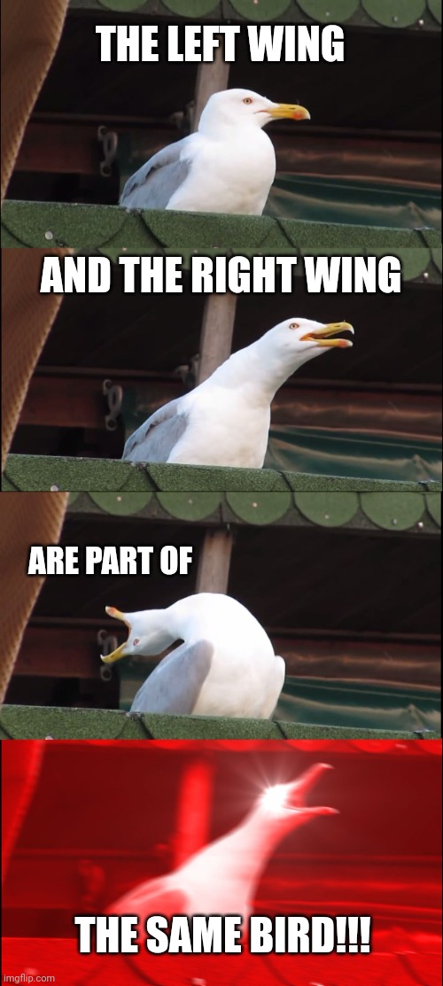 Observant gull | THE LEFT WING; AND THE RIGHT WING; ARE PART OF; THE SAME BIRD!!! | image tagged in memes,inhaling seagull,democrats,republicans,communists,thieves | made w/ Imgflip meme maker