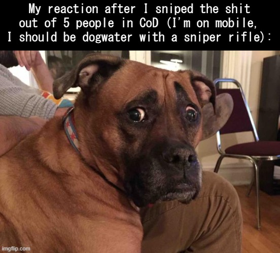 I even did well with a marksman rifle ;-; | My reaction after I sniped the shit out of 5 people in CoD (I'm on mobile, I should be dogwater with a sniper rifle): | image tagged in constantly concerned canine | made w/ Imgflip meme maker