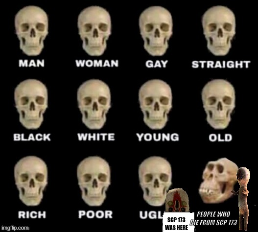 so true | PEOPLE WHO DIE FROM SCP 173; SCP 173 WAS HERE | image tagged in idiot skull | made w/ Imgflip meme maker