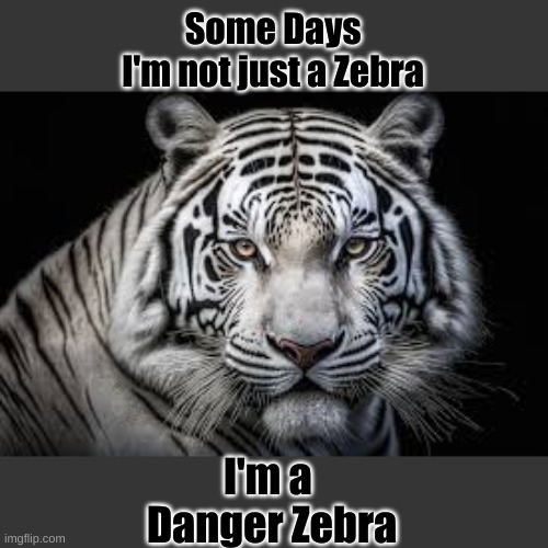 Danger Zebra | Some Days
I'm not just a Zebra; I'm a 
Danger Zebra | image tagged in not just a zebra,zebra,danger zebra,white tiger | made w/ Imgflip meme maker