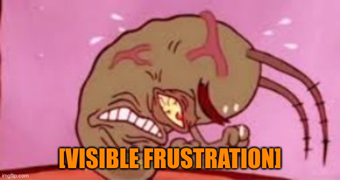Visible Frustration | [VISIBLE FRUSTRATION] | image tagged in visible frustration | made w/ Imgflip meme maker