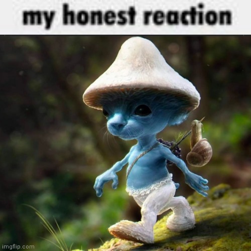 WE LOVE WE LIVE WE LIE | image tagged in my honest reaction | made w/ Imgflip meme maker