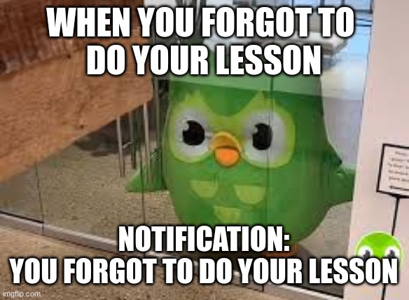 Duo is angry | WHEN YOU FORGOT TO 
DO YOUR LESSON; NOTIFICATION:
YOU FORGOT TO DO YOUR LESSON | image tagged in when you forgot your spanish lessons | made w/ Imgflip meme maker