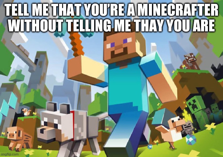 Minecraft  | TELL ME THAT YOU’RE A MINECRAFTER WITHOUT TELLING ME THAY YOU ARE | image tagged in minecraft | made w/ Imgflip meme maker