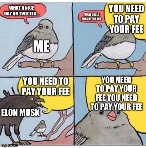 The way how Elon is gonna make Twitter users pay to use Twitter is absolutely unacceptable >:( | YOU NEED TO PAY YOUR FEE; WHAT A NICE DAY ON TWITTER…; WHAT COULD POSSIBLY GO WR-; ME; YOU NEED TO PAY YOUR FEE YOU NEED TO PAY YOUR FEE; YOU NEED TO PAY YOUR FEE; ELON MUSK | image tagged in annoyed bird,twitter,elon musk | made w/ Imgflip meme maker