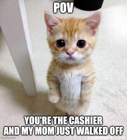 "sooo uhh... seen any good movies lately?" | POV; YOU'RE THE CASHIER AND MY MOM JUST WALKED OFF | image tagged in memes,cute cat,cashier,alone,childhood,store | made w/ Imgflip meme maker