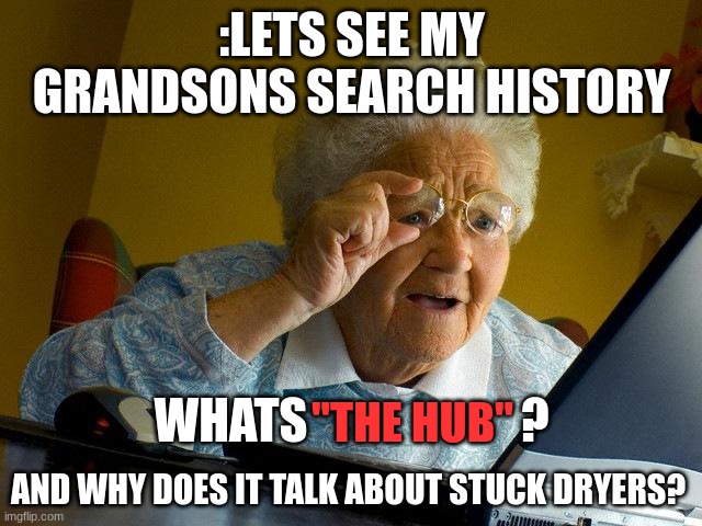 Whats "The Hub"? | :LETS SEE MY GRANDSONS SEARCH HISTORY; WHATS                      ? "THE HUB"; AND WHY DOES IT TALK ABOUT STUCK DRYERS? | image tagged in memes,grandma finds the internet,funny memes,hilarious memes,relatable memes | made w/ Imgflip meme maker