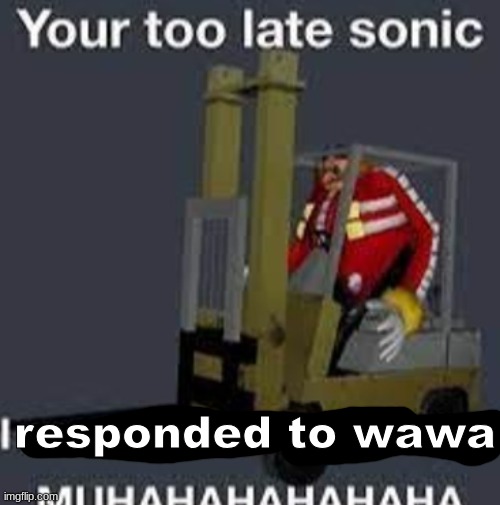 Your too late sonic | responded to wawa | image tagged in your too late sonic | made w/ Imgflip meme maker