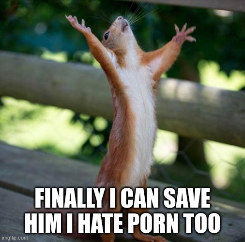 finally | FINALLY I CAN SAVE HIM I HATE PORN TOO | image tagged in finally | made w/ Imgflip meme maker
