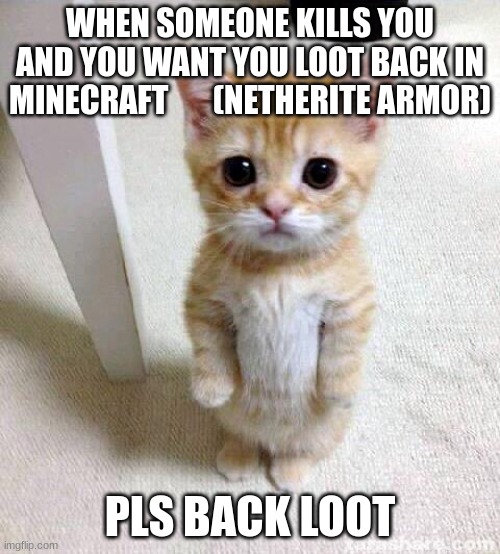 Pls loot back | WHEN SOMEONE KILLS YOU AND YOU WANT YOU LOOT BACK IN MINECRAFT       (NETHERITE ARMOR); PLS BACK LOOT | image tagged in memes,cute cat,funny memes,funny,uno draw 25 cards,change my mind | made w/ Imgflip meme maker