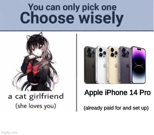 Choose wisely | Apple iPhone 14 Pro; (already paid for and set up) | image tagged in choose wisely | made w/ Imgflip meme maker