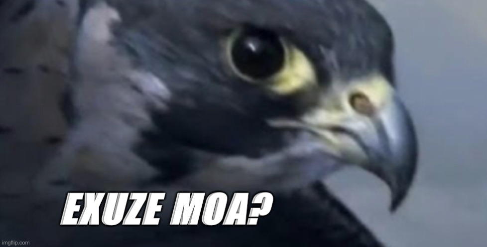 Peregrine Falcon exuze moa | image tagged in peregrine falcon exuze moa | made w/ Imgflip meme maker
