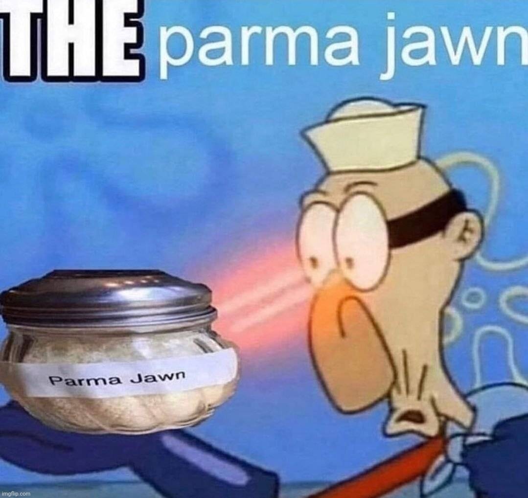 Parma jawn | image tagged in the | made w/ Imgflip meme maker