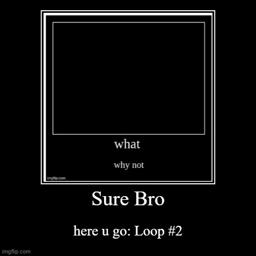 loop | Sure Bro | here u go: Loop #2 | image tagged in funny,demotivationals | made w/ Imgflip demotivational maker