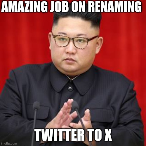 We are all amazed by what he did | AMAZING JOB ON RENAMING; TWITTER TO X | image tagged in elon musk,twitter | made w/ Imgflip meme maker