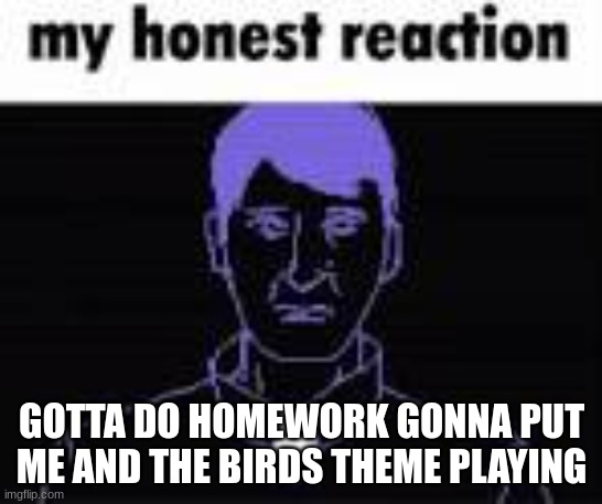 im  going insane | GOTTA DO HOMEWORK GONNA PUT ME AND THE BIRDS THEME PLAYING | image tagged in im going insane | made w/ Imgflip meme maker